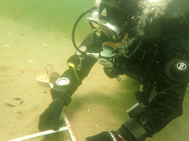 Forschungstaucher in der Ostsee Taucher auf dem Meeresgrund mit Zollstock