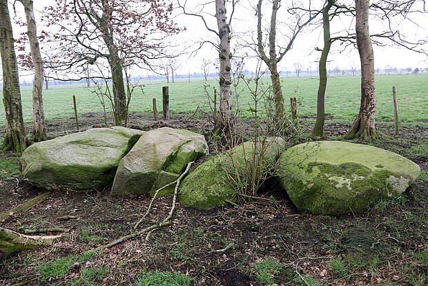 Großsteingrab aus Wanna, Ldkr. Cuxhaven Am Feldrand liegende Steine, Reste eines Großsteingabs.